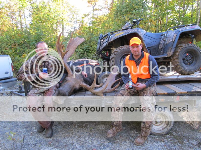 nbbucks 2012 moose and hunt. Moose Hunting New Brunswick Hunting