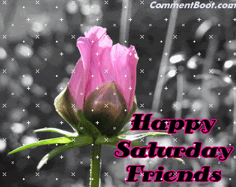 Saturday Comments & Graphics