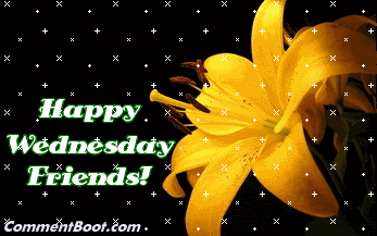 Wednesday Comments & Graphics