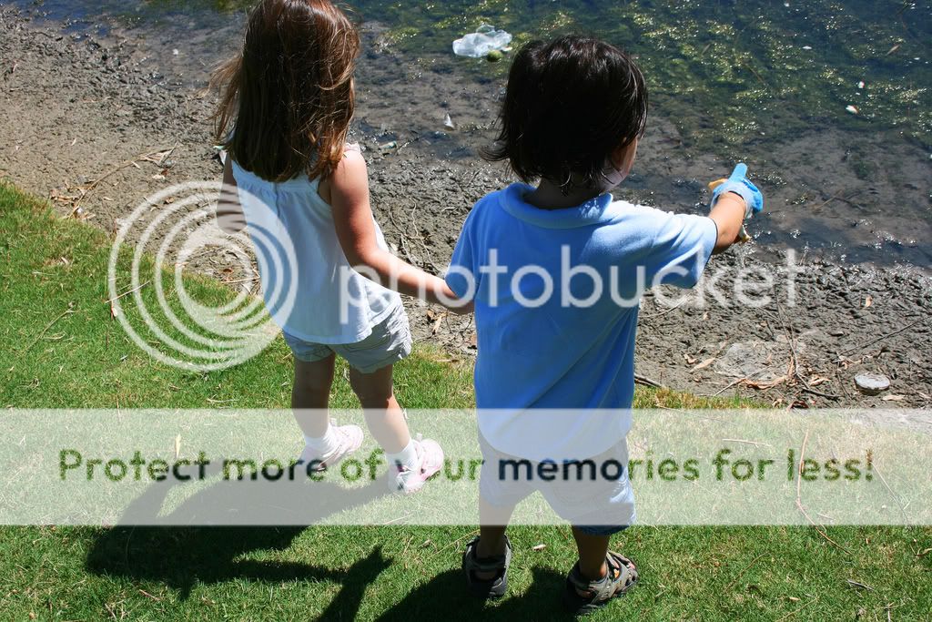 IMAGE: http://i539.photobucket.com/albums/ff357/davidsr84/AidanWeb4.jpg