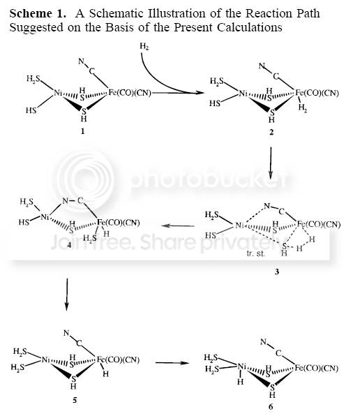 Reaction_Path.png picture by jackygrahamez