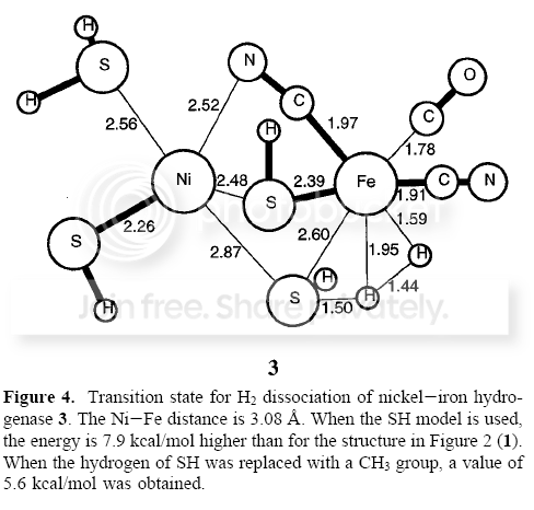 step3.png picture by jackygrahamez